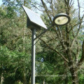 Streetlights with solar batteries, solar led street lights china manufacturer, IP65&CE